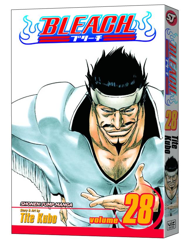 BLEACH GN VOL 28 (C: 1-0-1)