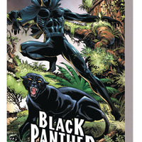 BLACK PANTHER PANTHERS QUEST TP