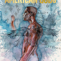 NEIL GAIMAN AMERICAN GODS HC VOL 02 MY AINSEL