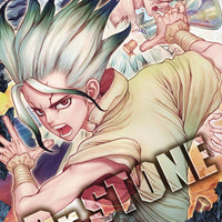 DR STONE GN VOL 09 (C: 1-0-1)