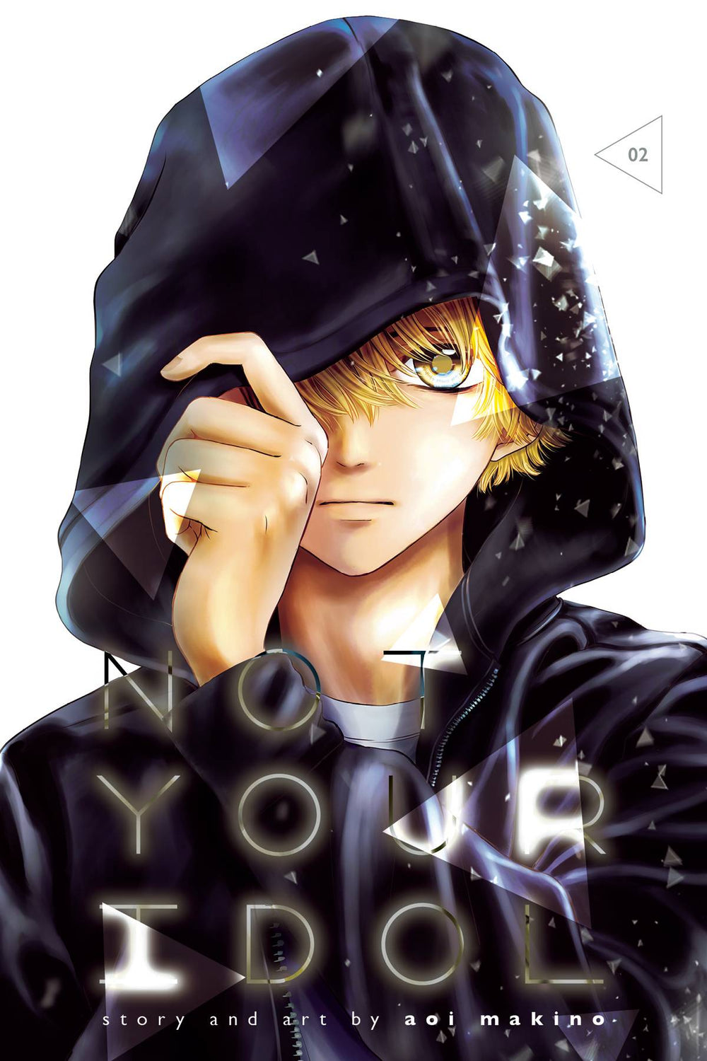 NOT YOUR IDOL GN VOL 02 (C: 1-1-2)