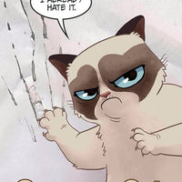 GRUMPY CAT AWFUL-LY BIG COMICS COLL GN