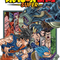 DRAGON BALL SUPER GN VOL 13 (C: 0-1-2)