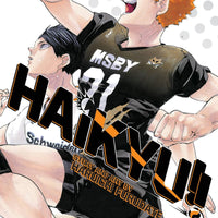 HAIKYU GN VOL 45