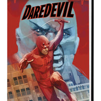 DAREDEVIL BY CHARLES SOULE OMNIBUS HC NOTO CVR