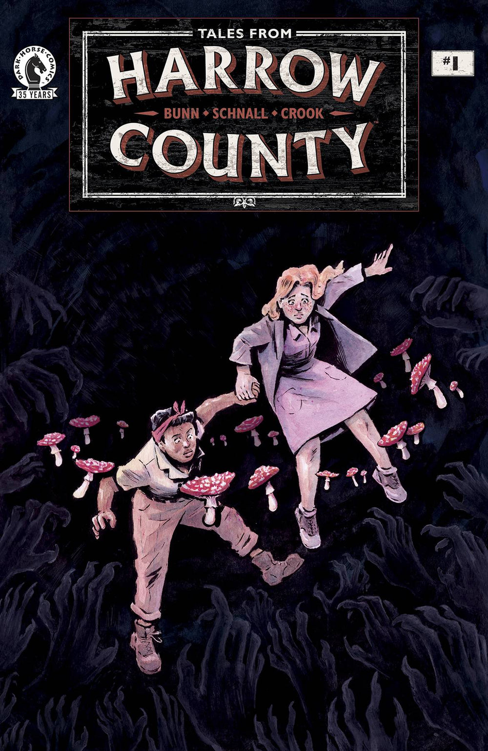 TALES FROM HARROW COUNTY FAIR FOLK #1 (OF 4) CVR A SCHNALL