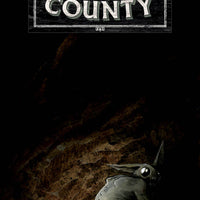 TALES FROM HARROW COUNTY FAIR FOLK #2 (OF 4) CVR B CROOK