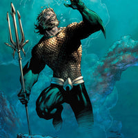 AQUAMAN 80 YEARS KING DLX ED HC