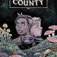 TALES FROM HARROW COUNTY FAIR FOLK #3 (OF 4) CVR A SCHNALL