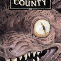 TALES FROM HARROW COUNTY FAIR FOLK #4 (OF 4) CVR A SCHNALL